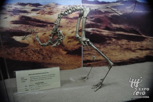 9月13日蒙古国家馆日 (2)--2010年上海世博会